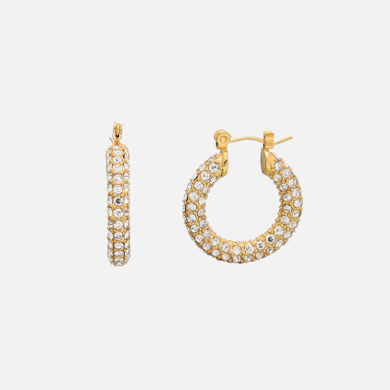 Gleam Earrings