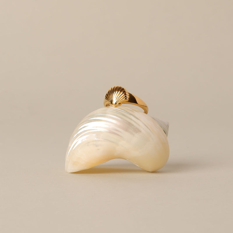 Seashell Ring