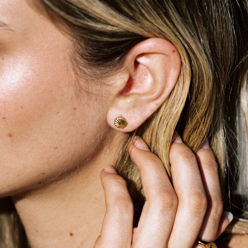 Shell Stud Earrings
