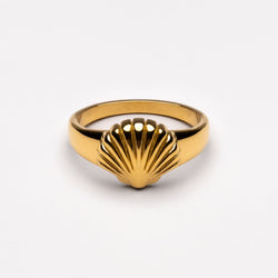 Seashell Ring