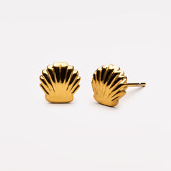 Shell Stud Earrings