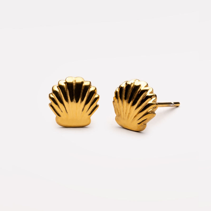 Shell Stud Earrings
